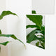 Edge Acrylic Mirror 200x200mm Square Self Adhesive Shatter Proof