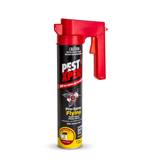 Pestxpert Insect Spray 500g Aluminium Fast Knockdown Low Odour - Auzzistore