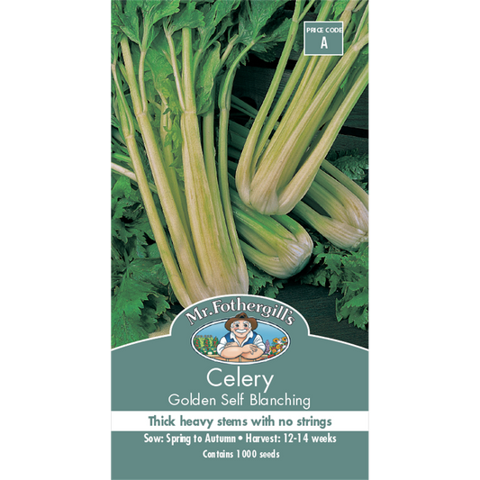 Mr Fothergill's Celery Seeds - 14 Weeks - Stringless - Disease Resistant - Auzzistore