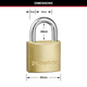 Master Lock 30mm Brass Keyed Padlock - Solid Brass - Cut Resistant