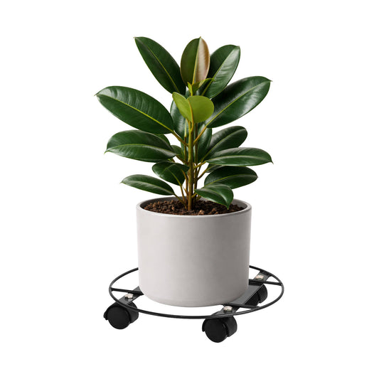 Eden Pot Plant Trolley - 30cm - Metal - Heavy Duty