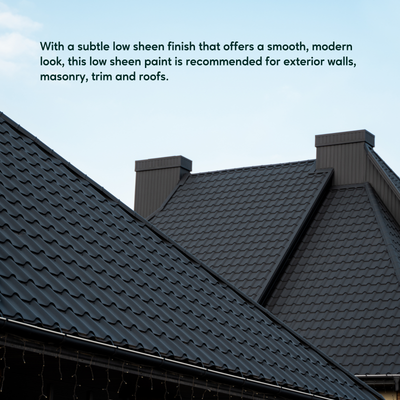 Taubmans 1L Black Low Sheen All Weather Exterior Paint - Water-Based, UV Resistant