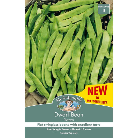 Mr Fothergills Dwarf Bean Plazza - Seeds - Compact - High Yielding - Auzzistore