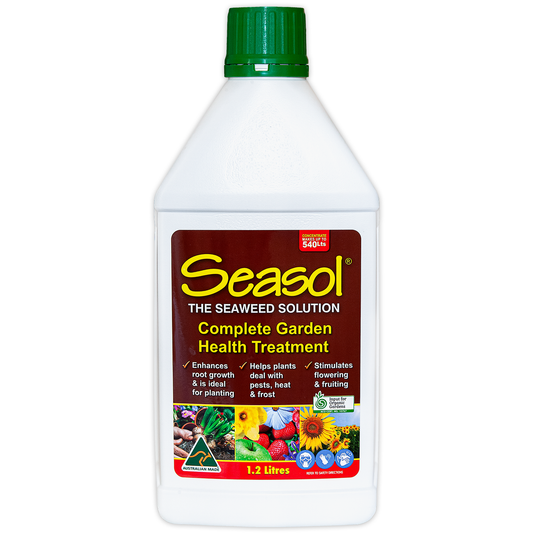Seasol 1.2L Seaweed Health Tonic Concentrate - Natural Plant Boost - Auzzistore