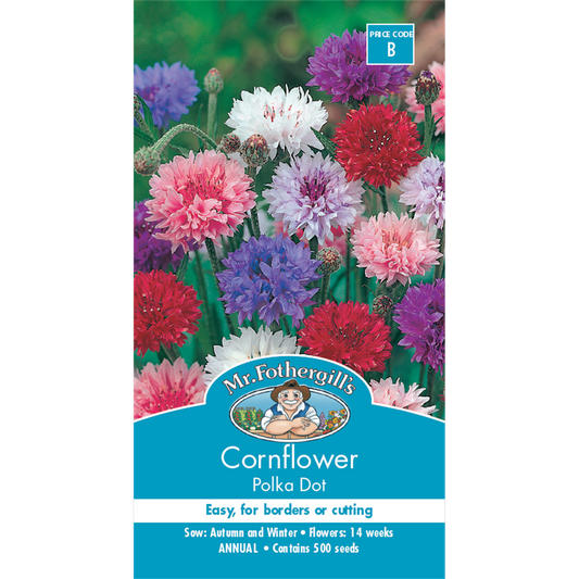 Mr Fothergill Cornflower Seeds - 30-45cm - Dwarf - Easy To Grow