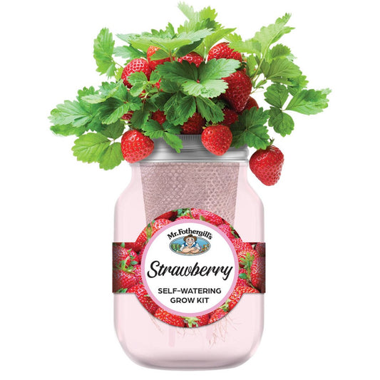 Mr Fothergill's Self Watering Mason Jars Grow Kit Strawberry - 90mm x 172mm - Pink - Easy Maintenance – view 2 - Auzzistore