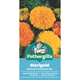 Mr Fothergill Marigold Crackerjack Seeds 75cm Hardy Bedding Plant