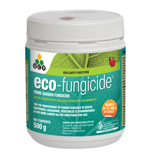 OCP Eco Fungicide - 500g - Water Soluble - Organic Control