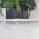 Carinya Heavy Duty Straight Stayed Bracket 250x200mm Steel White
