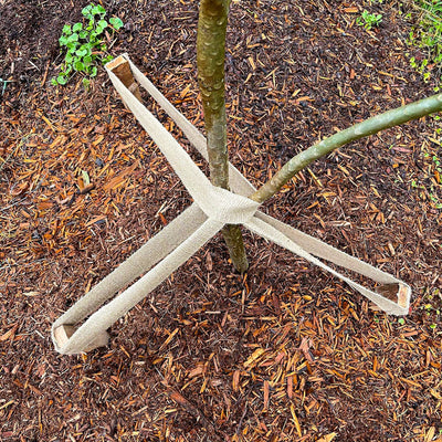 Jack Jute Webbing 50mm x 33m Bio-Degradable Soft Plant Tie