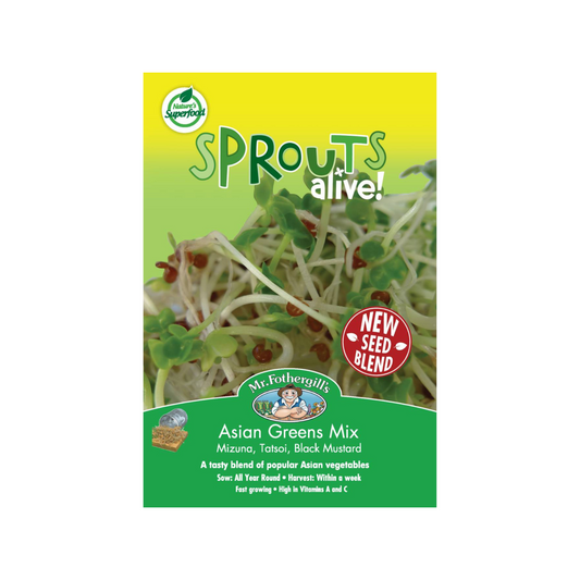 Mr Fothergill Sprouts Alive Asian Green Seeds - 110mm - Non GMO - Nutritious - Auzzistore