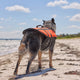 Happy Tails Large Floating Pet Vest - 400mm x 450mm - Safe Water Training