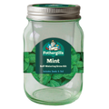 Mr Fothergill's Self Watering Mason Jar Grow Kit - Mint - 90mm x 172mm - Green - Compact Indoor Gardening