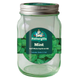 Mr Fothergill's Self Watering Mason Jar Grow Kit - Mint - 90mm x 172mm - Green - Compact Indoor Gardening