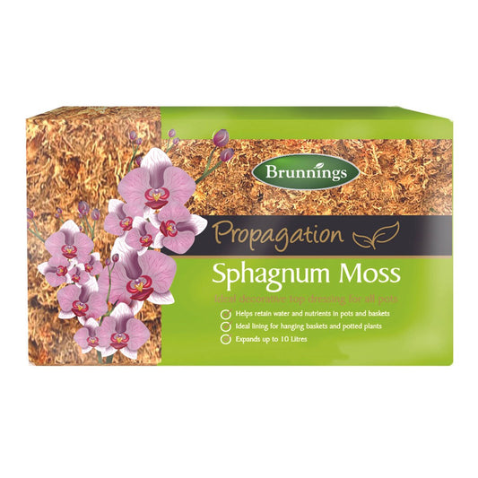 Brunnings Sphagnum Moss Block - 10L - Natural - Moisture Retention - Auzzistore