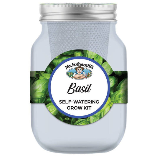 Mr Fothergill S Self Watering Mason Jar Grow Kit Basil - 90mm x 172mm - Blue - Indoor Gardening - Auzzistore