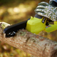 Ryobi 18V ONE+ 6" Pruning Saw Tool Only - Cuts 152mm Branches - Lightweight