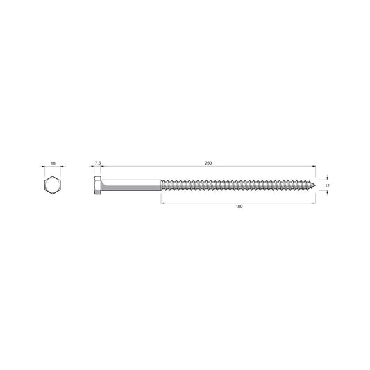 Zenith M12 Hex Head Coach Screws - 250mm - 12 Pack - Hot Dip Galvanised - Heavy-Duty – view 2 - Auzzistore