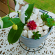 Jack Bright White Decorative Pebble 35-50mm Garden Edging Mulch