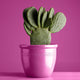 Dulux Spray Paint 340g Gloss Techno Pink - Fast Drying - Self-Priming
