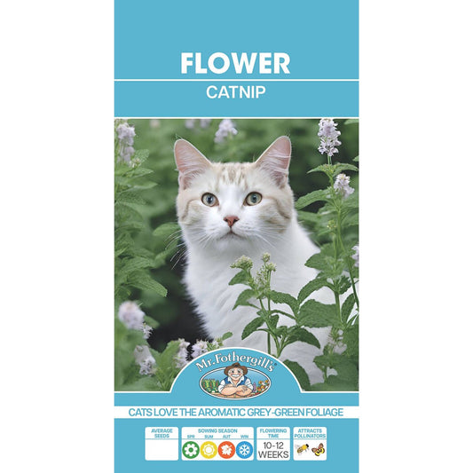 Mr Fothergill Catnip Seeds - Easy To Grow - 75mm - Fragrant Foliage - Auzzistore