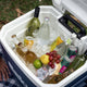 Esky 52L Wheeled Hard Cooler - Plastic - Insulated - Easy Transport