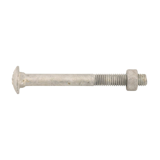 Zenith Hot Dip Galvanised Cup Head Bolts Nuts M10 x 130mm 25 Pack – view 2 - Auzzistore