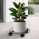 Eden Pot Plant Trolley - 30cm - Metal - Heavy Duty