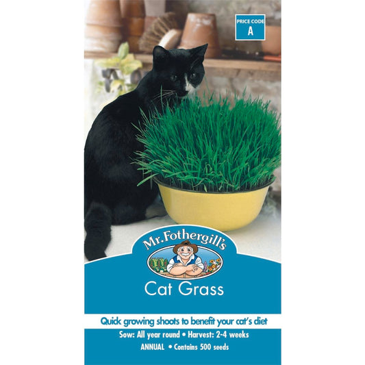 Mr Fothergill Cat Grass Seeds - Quick Grow - 75mm - Aids Digestion - Auzzistore