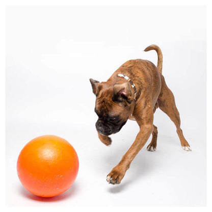 Aussie Dog Products 240mm Staffie Ball - Orange