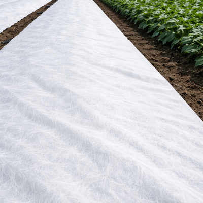 Grunt Non Woven Geotextile Membrane 2m x 20m Drain Mat Fabric