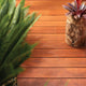 Feast Watson Wet Look Decking Oil 4L Water Based UV Resistant