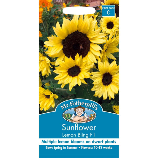 Mr Fothergill Sunflower Seeds - 45cm - Seed - Pollen Free - Auzzistore
