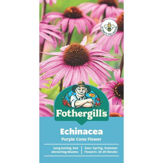 Mr Fothergill Echinacea Seeds - 75mm - Seeds - Attracts Beneficial Insects