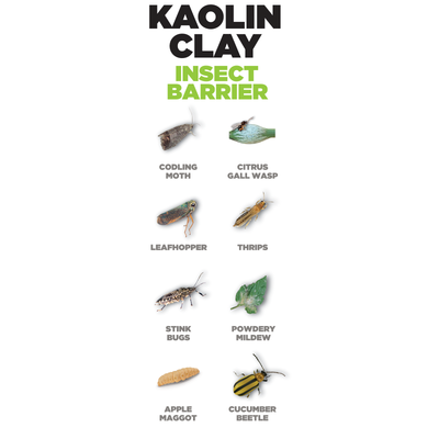 Brunnings Kaolin Clay - 1kg Natural Insect Barrier - Protects Plants from Pests and Heat Stress