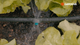 Gardena Micro Irrigation Spray Nozzle - 6 in 1 - 2 Pack - Adjustable 90°-360° - Black/Turquoise