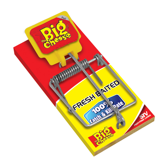 The Big Cheese Mouse Trap - Fresh Baited - 100mm - Quick Catch