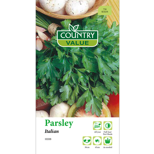Country Value Italian Parsley Seeds - 5mm - Seeds - Stronger Flavor - Auzzistore