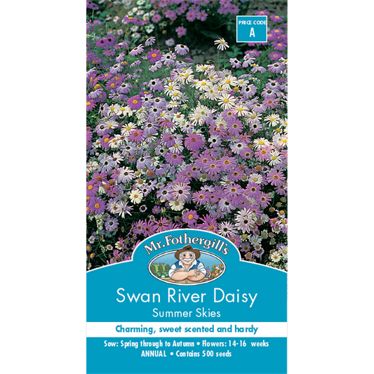 Mr Fothergill S Swan River Daisy Seeds - 30cm - Summer Sky - Charming Flowers - Auzzistore
