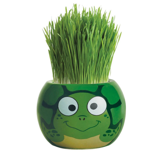 Mr Fothergill Grass Hair Turtle - 60mm - Ryegrass - Fun Indoor Kit – view 2 - Auzzistore