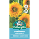 Mr Fothergill Sunflower Double Delight F1 Seeds - 75mm - Pollen Free - Easy To Grow