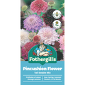 Mr Fothergill Pincushion Scabious Mixed Seeds 90cm Tall Attracts Bees