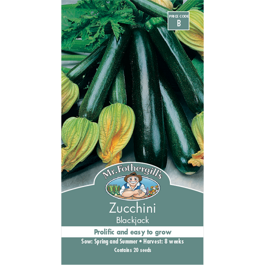 Mr Fothergill Zucchini Seeds - 15cm - Seed - Easy to Grow - Auzzistore