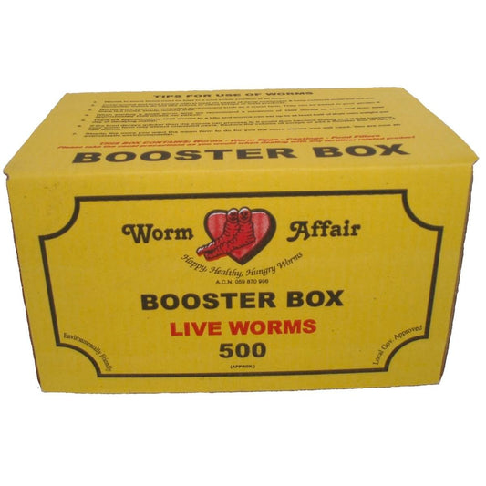 Worm Affair Live Organic Worm Booster Box 500 Worms Nutrient Rich - Auzzistore