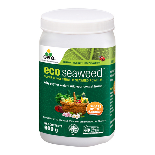 OCP Eco Seaweed Fertiliser - 600g - Powdered Extract - Organic Use - Auzzistore