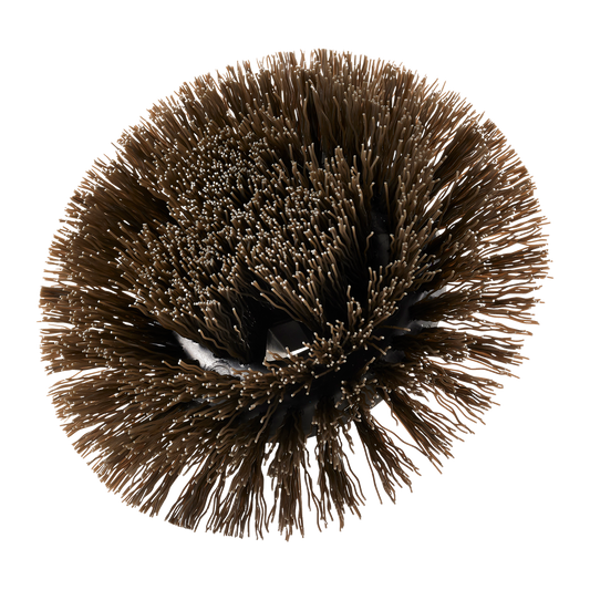 Ryobi 150mm Round Hard Bristle Brush - Tough Cleaning Tool - Durable Bristles - Auzzistore