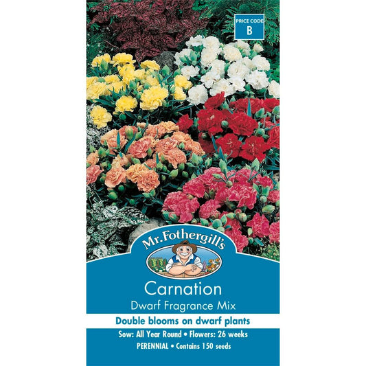 Mr Fothergill Carnation Dwarf Fragrance Mix 75mm Scented Blooms - Auzzistore