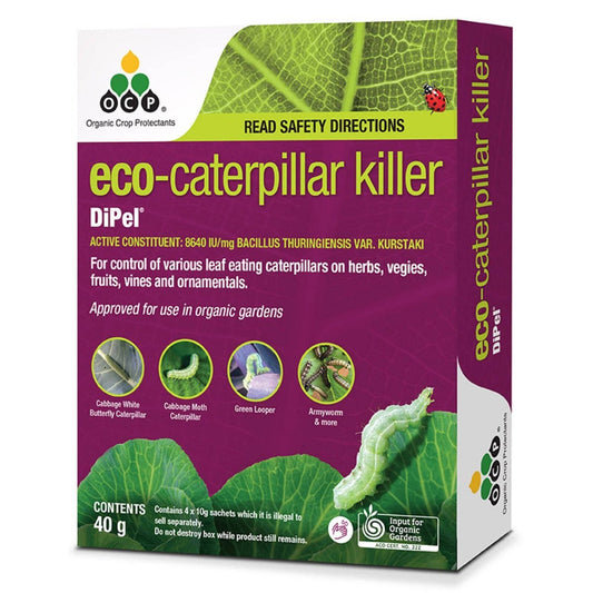 Ocp Eco Caterpillar Killer - 40g Powder - Organic Insecticide for Gardens - Auzzistore
