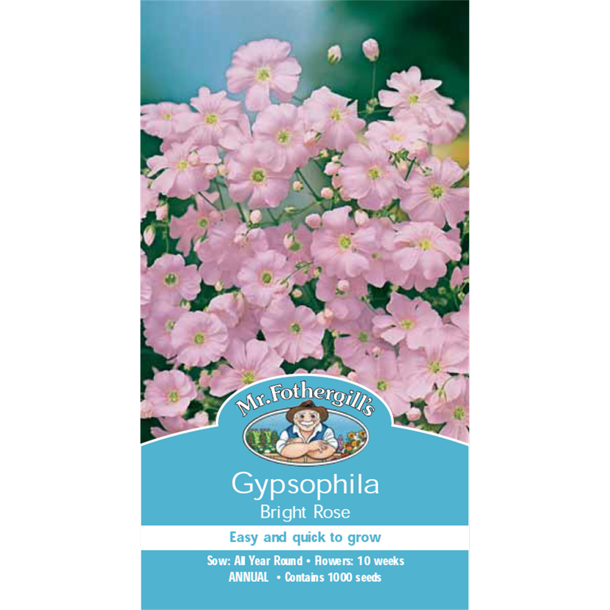 Mr Fothergill Gypsophila Flower Seeds - 60cm - Hardy Annual - Easy Grow