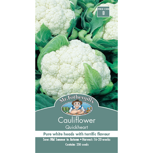 Mr Fothergill Quickheart Cauliflower Seeds 75mm White High Yield - Auzzistore